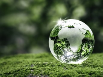 Green Globe image