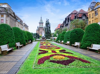 Timisoara 1