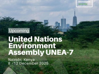 UNEA7 square image 2